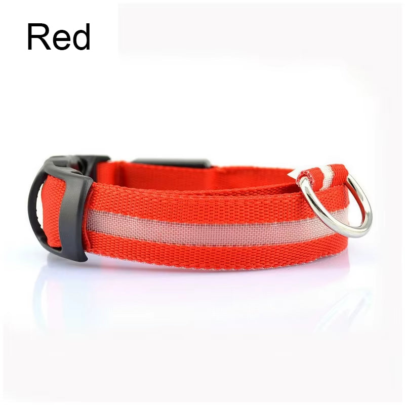 LED Dog Collar - Reflective Nylon, Safe Night Walks