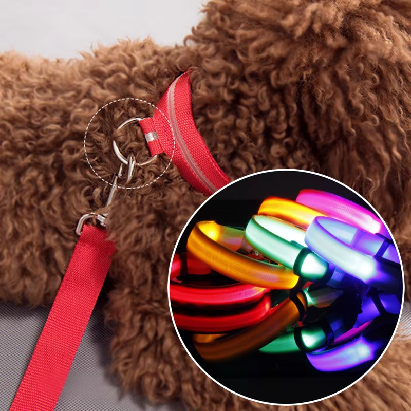 LED Dog Collar - Reflective Nylon, Safe Night Walks