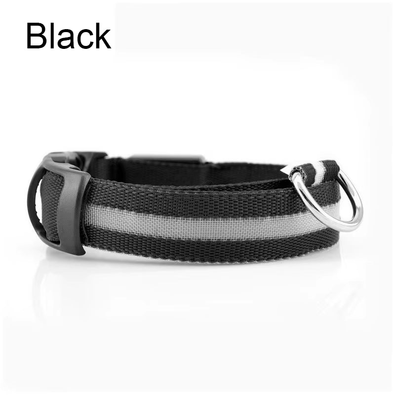 LED Dog Collar - Reflective Nylon, Safe Night Walks