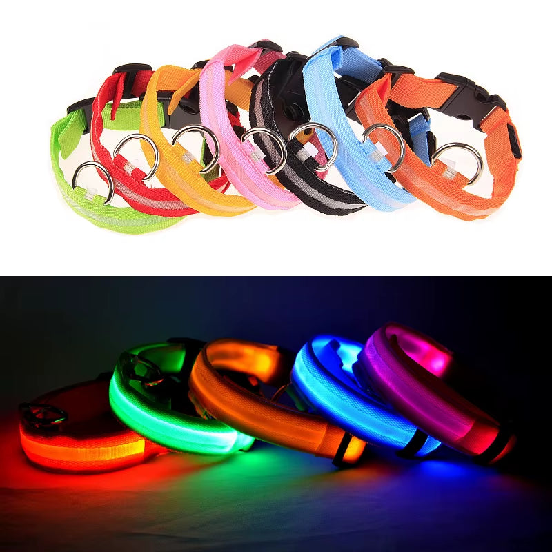 LED Dog Collar - Reflective Nylon, Safe Night Walks