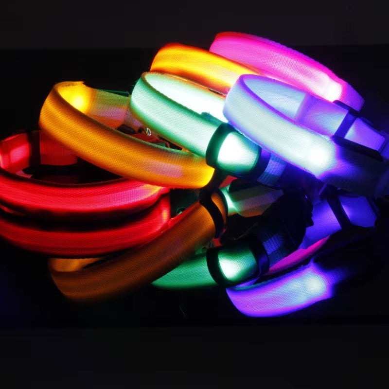 LED Dog Collar - Reflective Nylon, Safe Night Walks