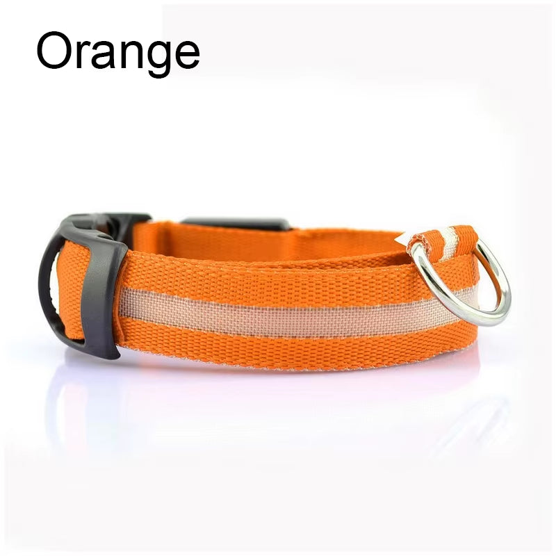 LED Dog Collar - Reflective Nylon, Safe Night Walks