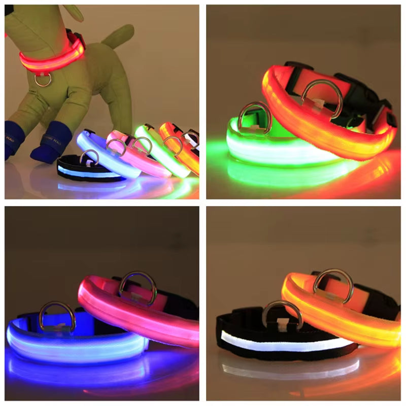 LED Dog Collar - Reflective Nylon, Safe Night Walks