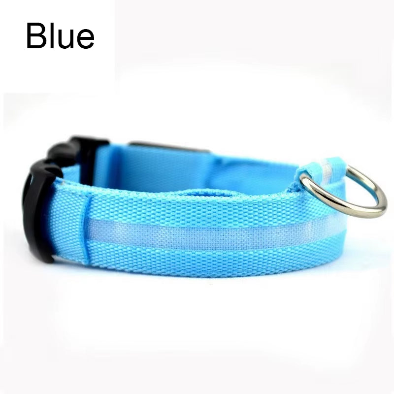 LED Dog Collar - Reflective Nylon, Safe Night Walks