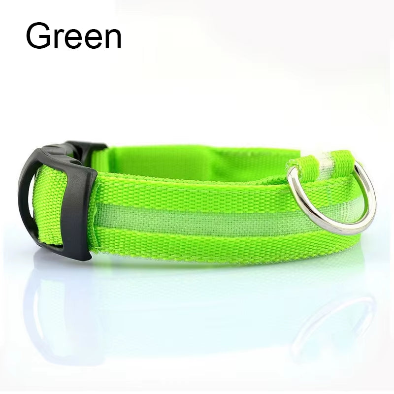 LED Dog Collar - Reflective Nylon, Safe Night Walks