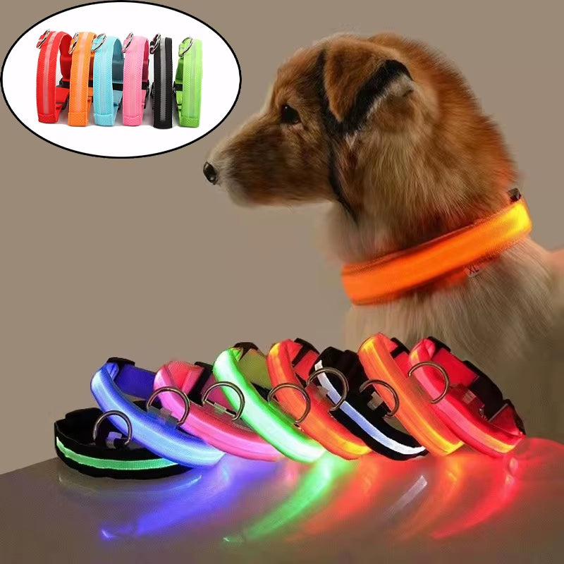 LED Dog Collar - Reflective Nylon, Safe Night Walks