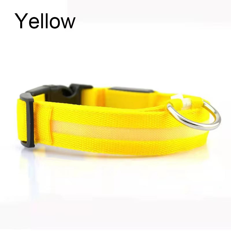 LED Dog Collar - Reflective Nylon, Safe Night Walks