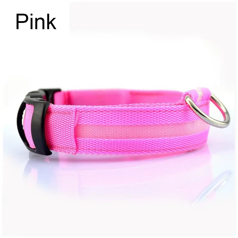 LED Dog Collar - Reflective Nylon, Safe Night Walks