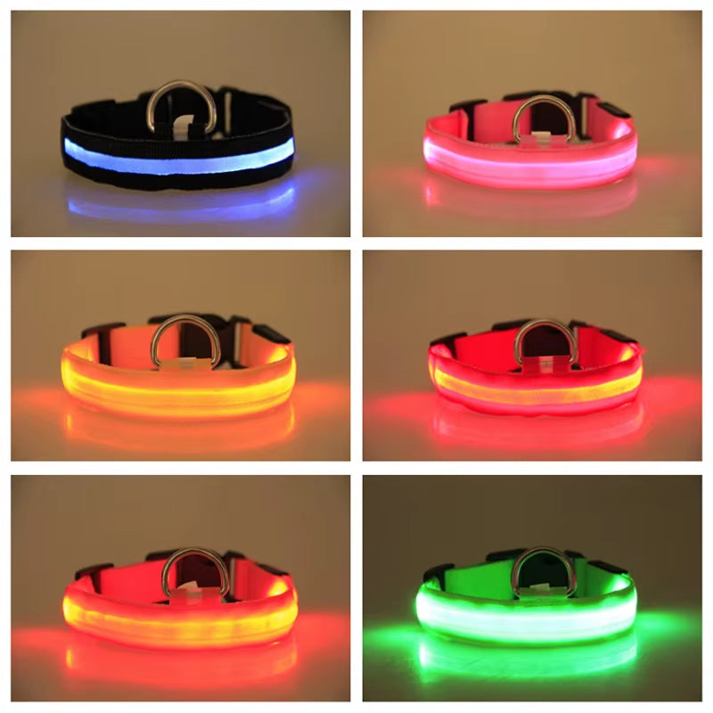 LED Dog Collar - Reflective Nylon, Safe Night Walks